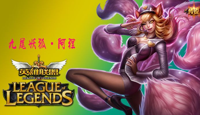 尔联用全新