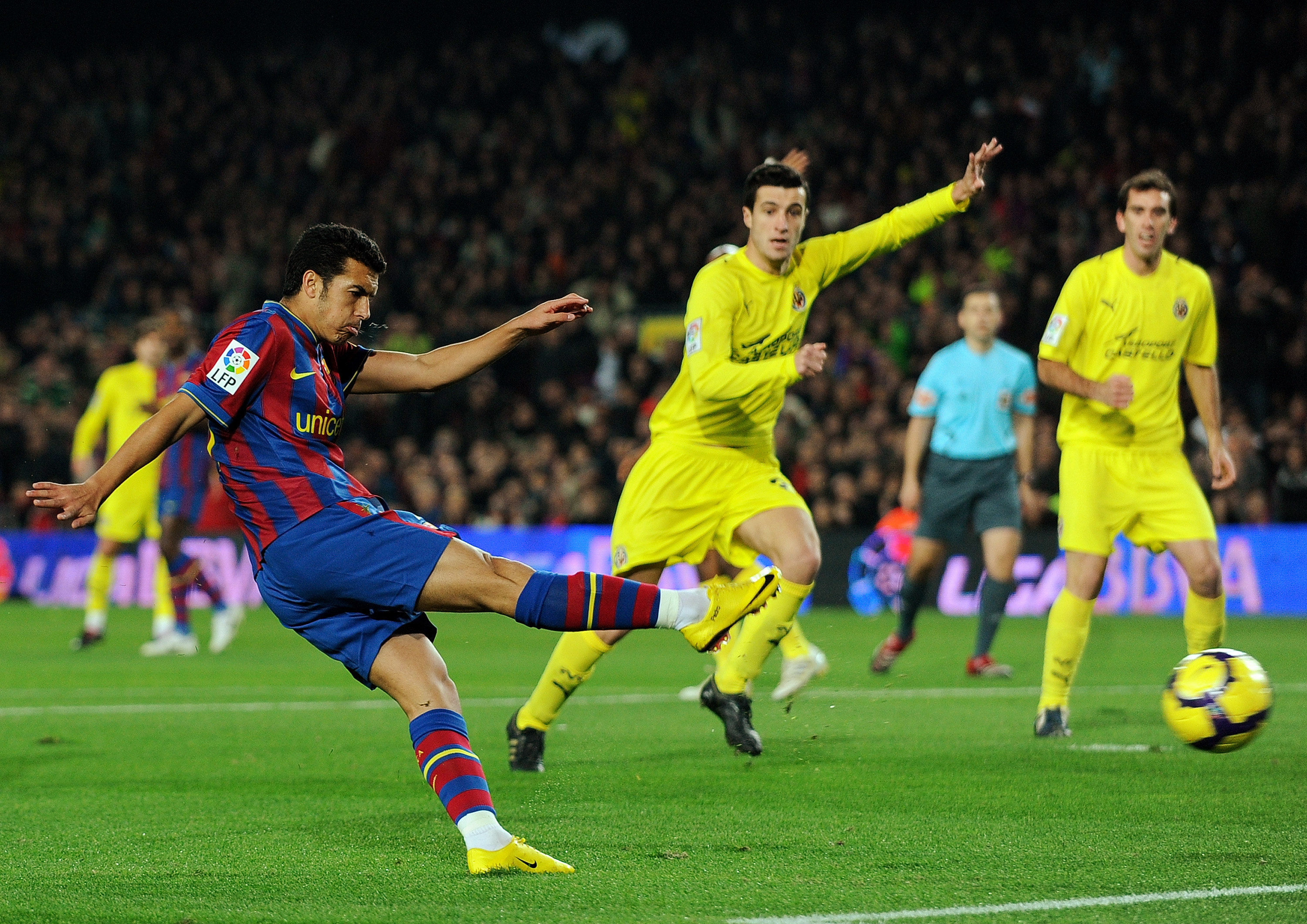 球员和教练 球员和教练